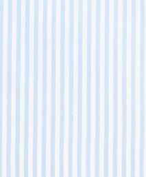 Pale Blue & White Slim Fit French Cuff Core Poplin Bengal Stripe Dress Shirt