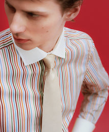 Multicolour Slim Fit Multi Bengal Stripe Dress Shirt